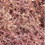 Brahmi,  nir Brahmi , jal Brahmi Bulk