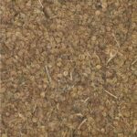 Ajmoda seeds