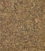 Ajmoda seeds