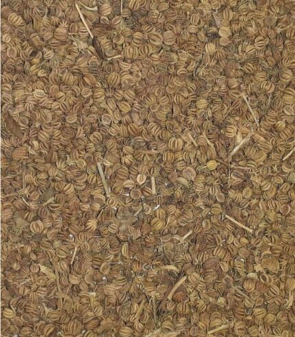 Ajmoda seeds