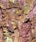 Dry hibiscus flowers bulk - Image 2