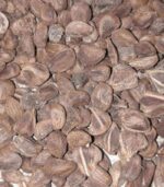 Vidhara, Hawaiian Baby Woodrose Seeds, Bidhara Asli, Vidhara Seeds, Vruddhadaru - Image 2