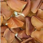 Sky Fruit, Skyfruit, or Mahogany seeds