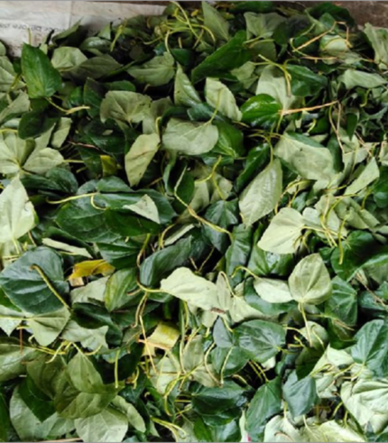 Dry betel leaves