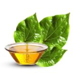 Betel leaf oil [SPECIAL]
