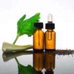Celery seeds oil bulk