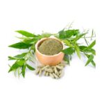 Kalmegh extract bulk